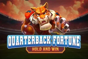 Quarterbackfortune